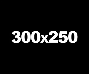 ads 300x250